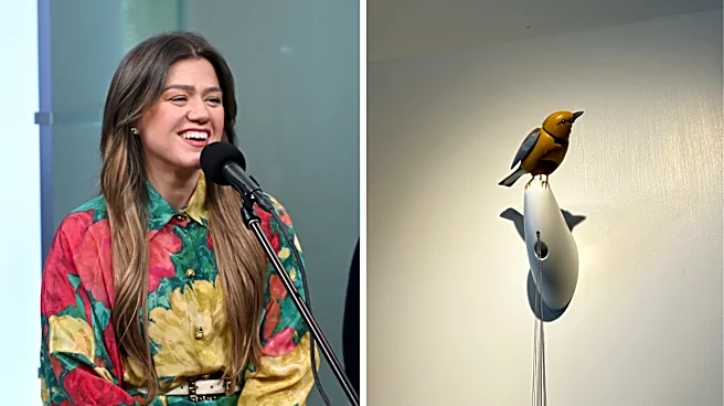 New footage shows Kelly Clarkson inside Brooklyn store Art of Play