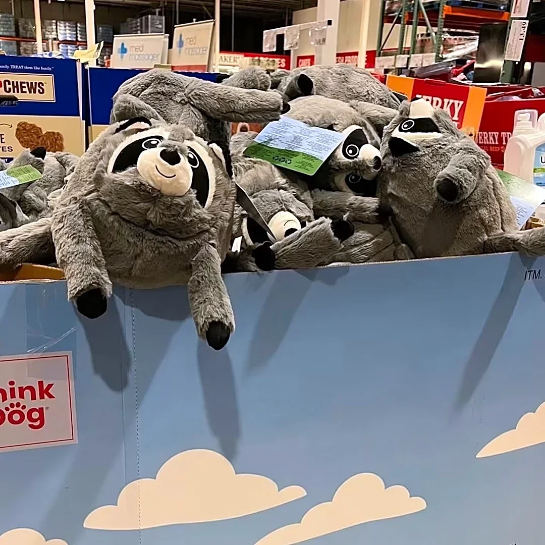 Costco joins viral fun with Jimothy dog toy. How to get it