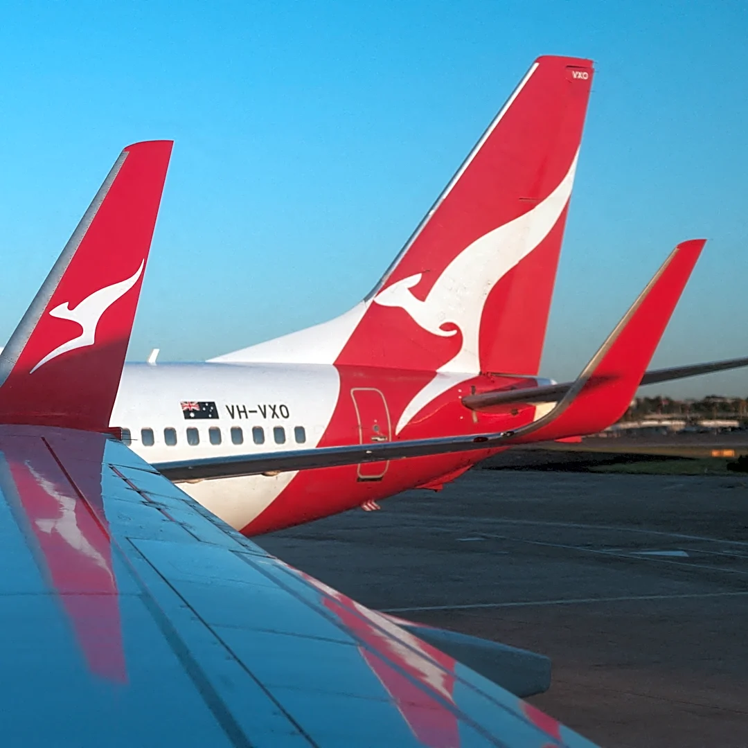 Qantas flight canceled after bed bugs reported on previous flight