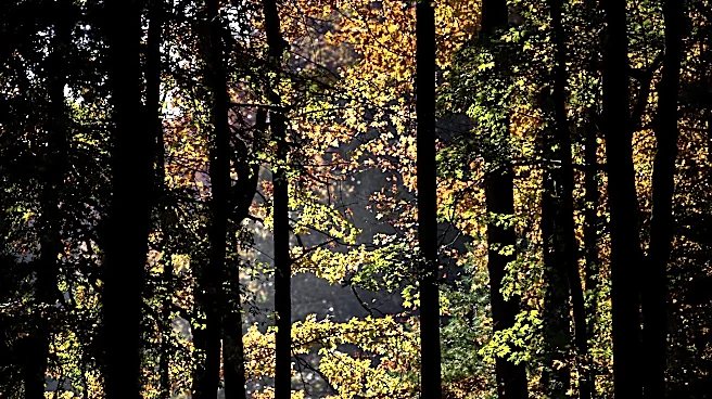 Missing hiker found dead near Smoky Mountains falls