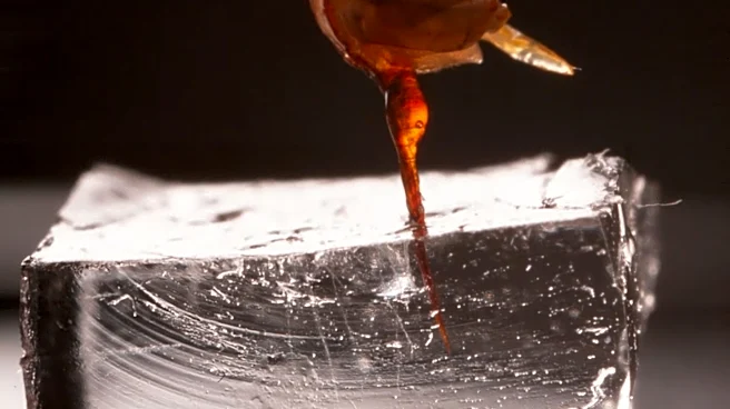 Ouch! New video shows what happens when a bee stings