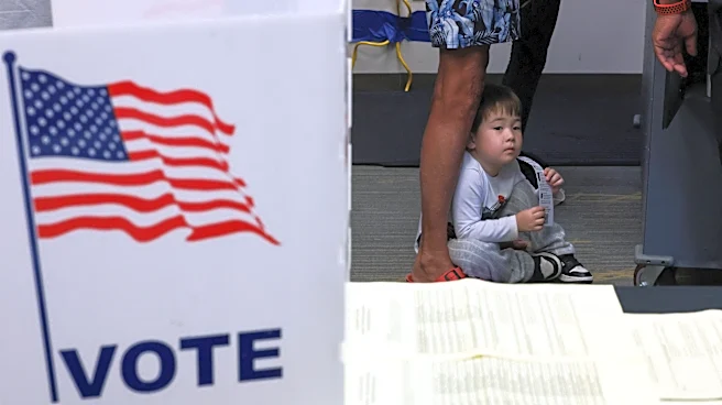 Georgians 'shatter' voting record on first day of midterm early voting