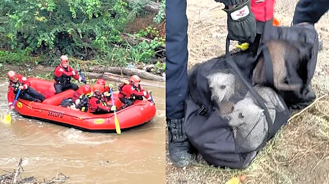 Two women and four dogs rescued from Santa Ana River encampment