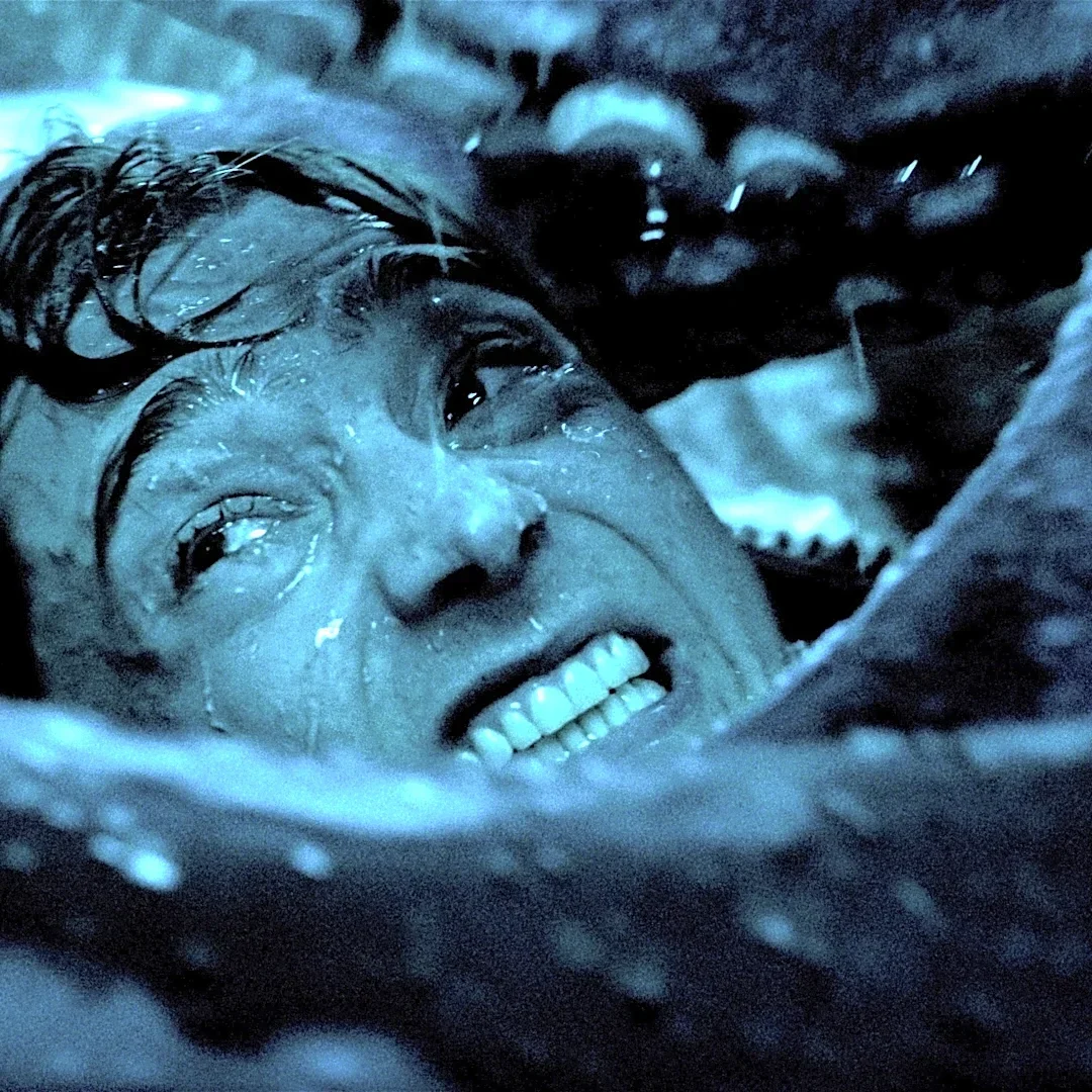 You're really not ready for the 'Whalefall' giant squid scene