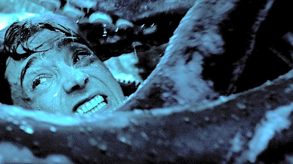 You're really not ready for the 'Whalefall' giant squid scene