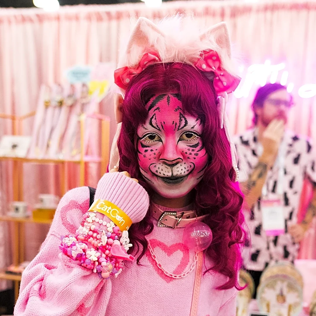 CatCon draws tens of thousands, sets adoption record with 222 kittens