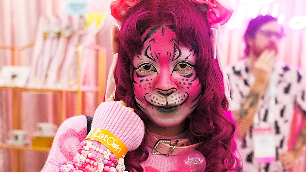 CatCon draws tens of thousands, sets adoption record with 222 kittens