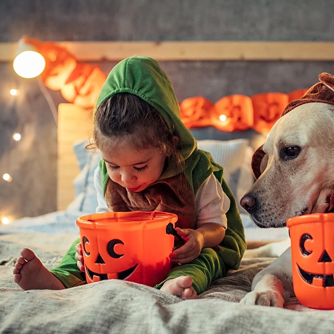 The healthier alternatives to Halloween candy