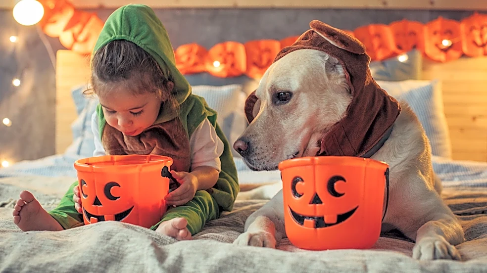 The healthier alternatives to Halloween candy