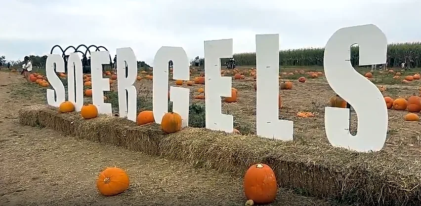 Soergel Orchards' Fall Festival brings family fun to Wexford