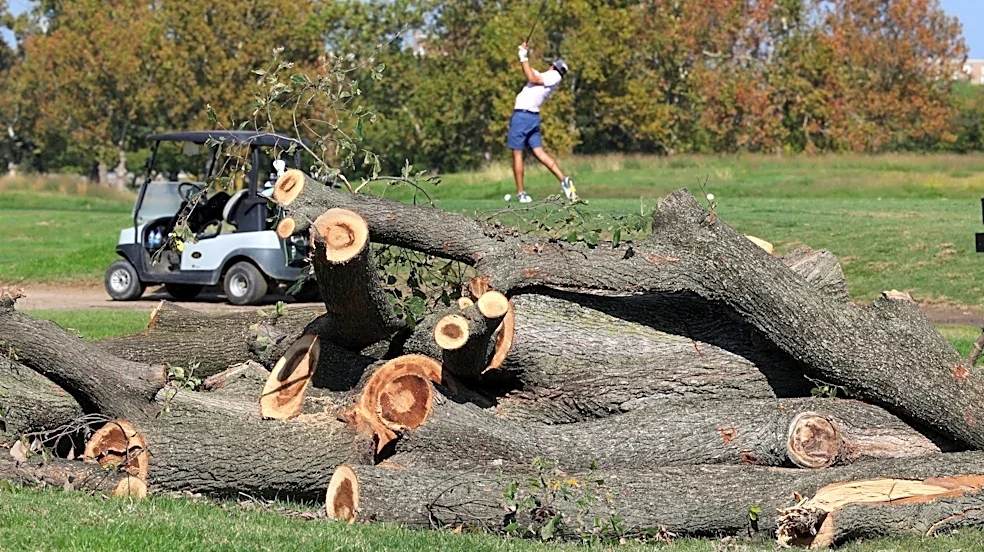 Judge scrutinizes Trump's DC golf overhaul as he calls her 'crazed lunatic'
