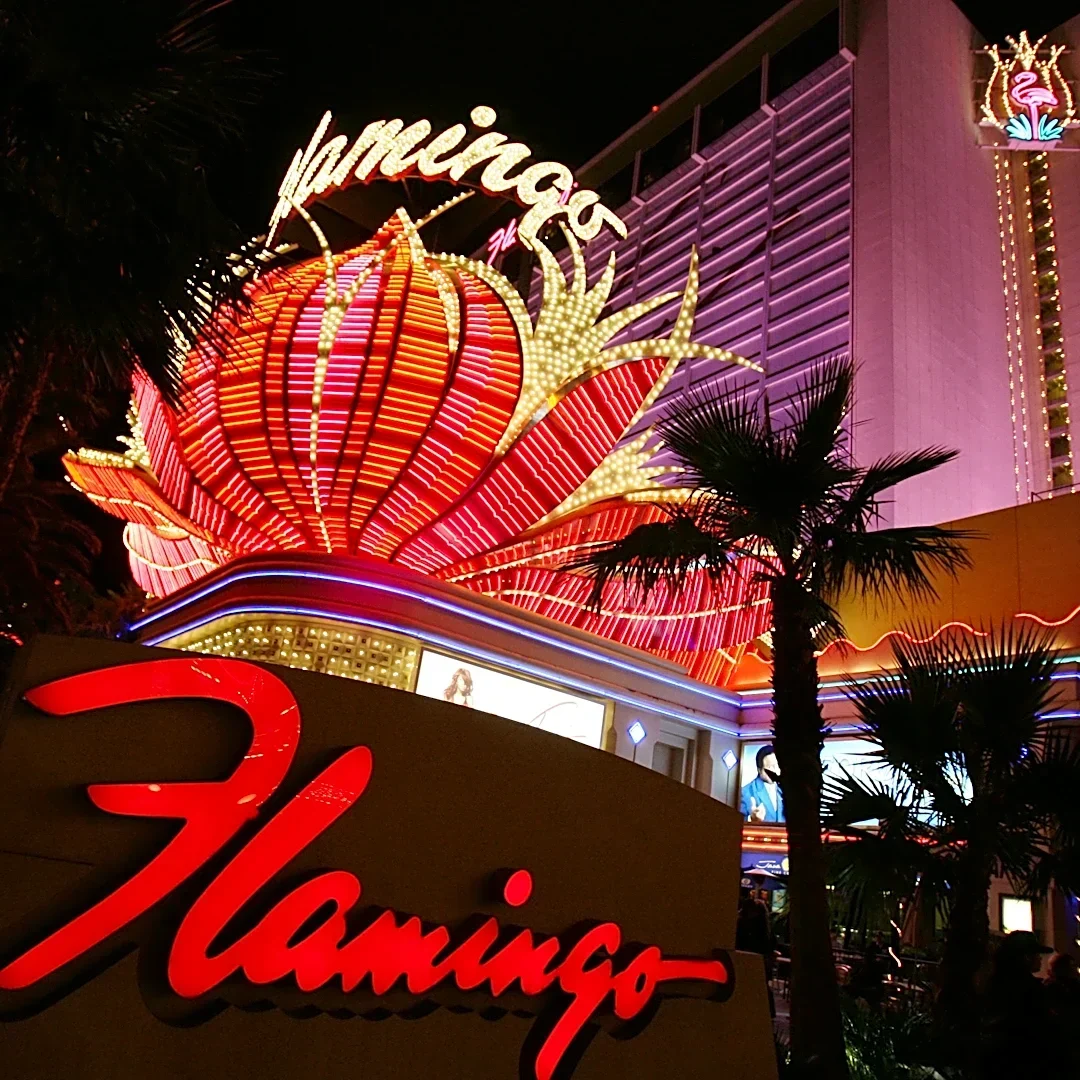 Canadian tourist who stole Las Vegas flamingo convicted of animal cruelty