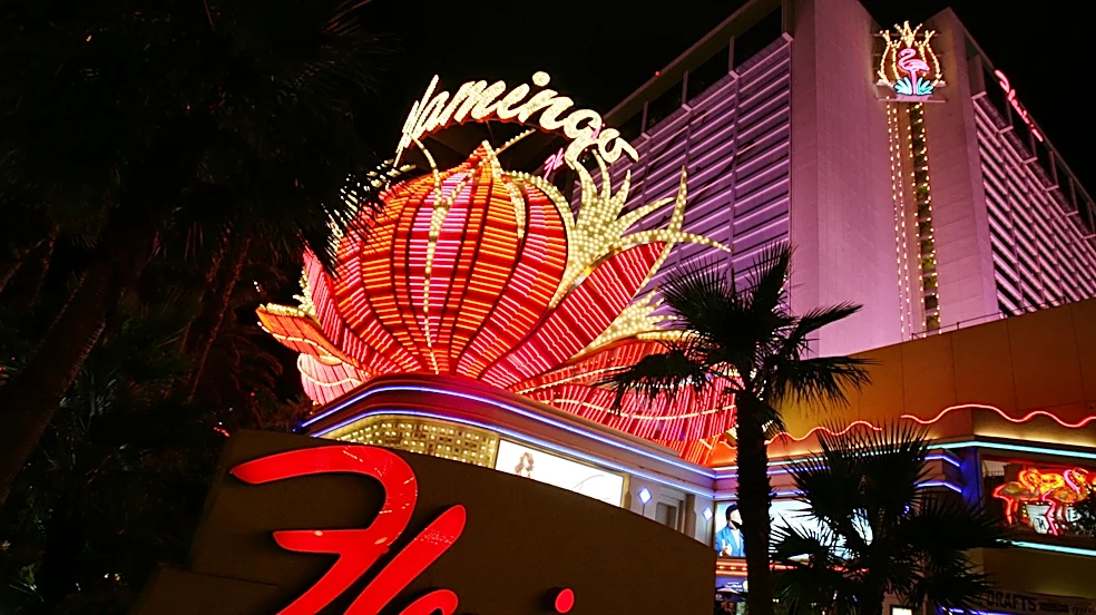 Canadian tourist who stole Las Vegas flamingo convicted of animal cruelty