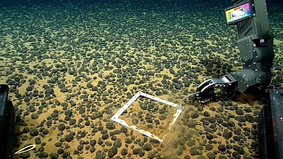 Trump is auctioning the seafloor. Who will it benefit?