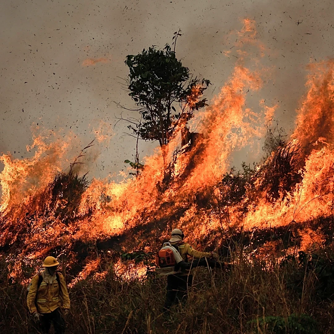 Incendios en la Amazonía aumentan 253% y humo cubre Manaos