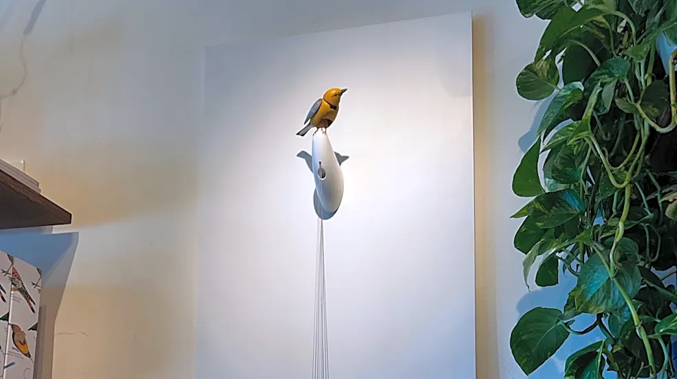 Artist of bird at center of Kelly Clarkson feud speaks out