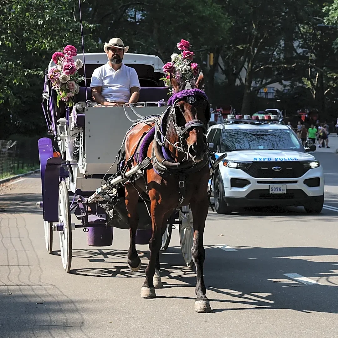 A 160-year-old New York tradition is headed for extinction