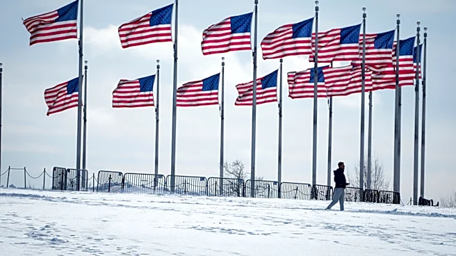 What 'behemoth' El Niño could mean for Washington DC's winter weather