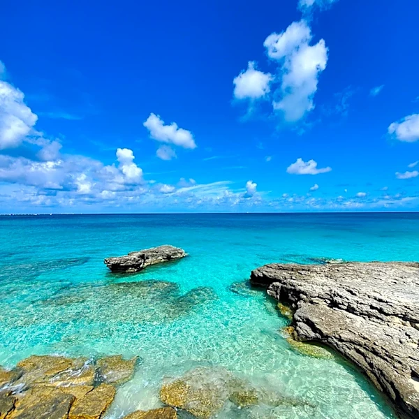 Mother drowns trying to save sons during Bahamas snorkeling trip