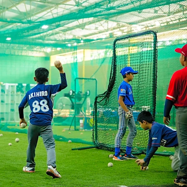 Brazil is a soccer giant. MLB and Tampa Bay Rays see baseball gold