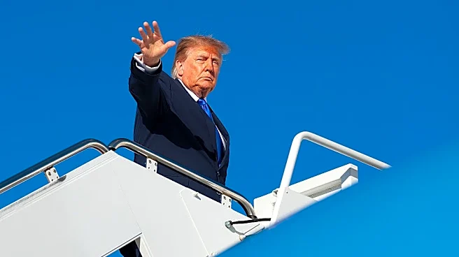 If you love the Republican Party, vote for a Democrat | Opinion