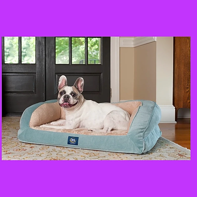 Best Way Day pet deal? 50% off this machine-washable Serta dog bed