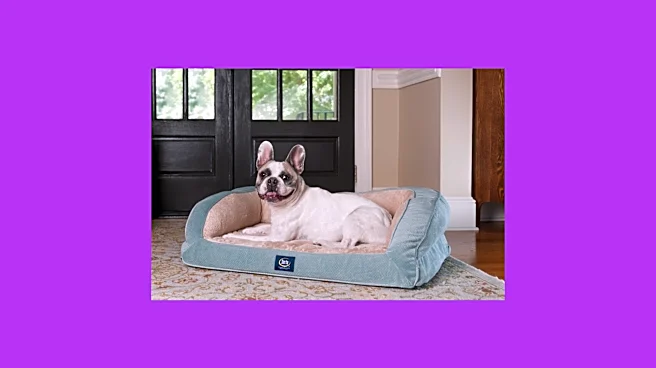 Best Way Day pet deal? 50% off this machine-washable Serta dog bed