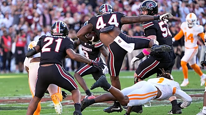 South Carolina storms field vs Tennessee. How much will Gamecocks be fined?