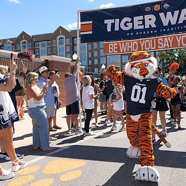 'I'm gonna punch the tiger.' ESPN's Matt Barrie didn't enjoy Auburn mascot's hijinks