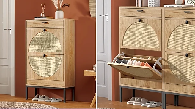 This boho rattan cabinet holds 12 pairs of shoes for less than $100