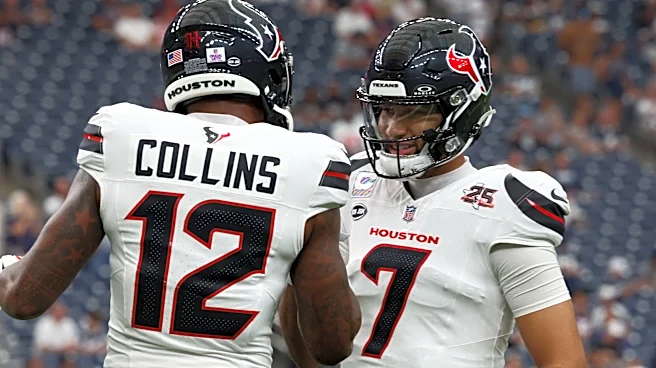 Nico Collins disappoints in Week 7 vs. Giants