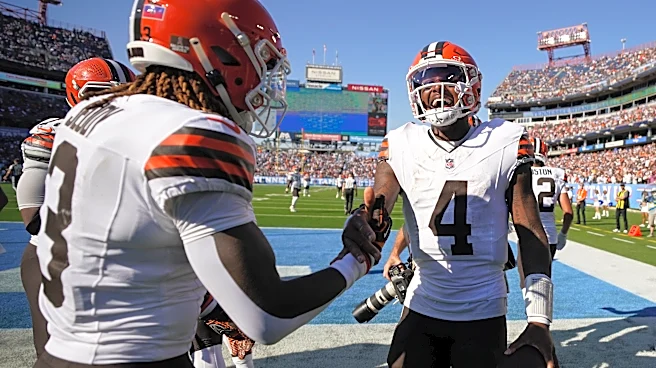 Deshaun Watson goes over 300 yards with rushing TD in Week 7