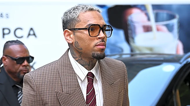 Chris Brown avoids jail for now in London nightclub attack