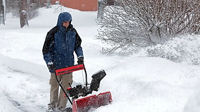 A winter storm is coming, but these snow blowers can still arrive in time