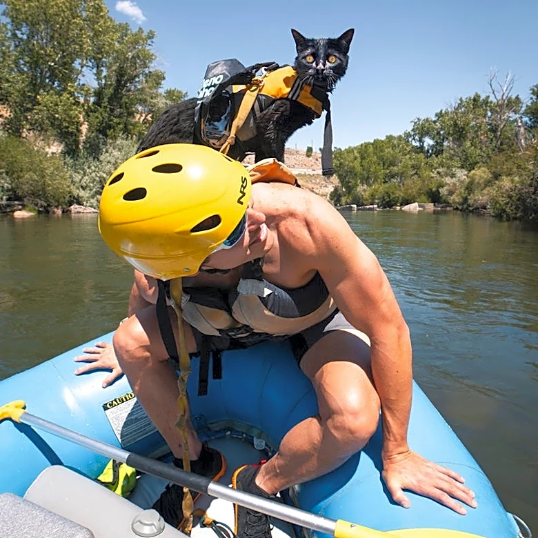 He was too busy for a cat. Now, they hike across the world together