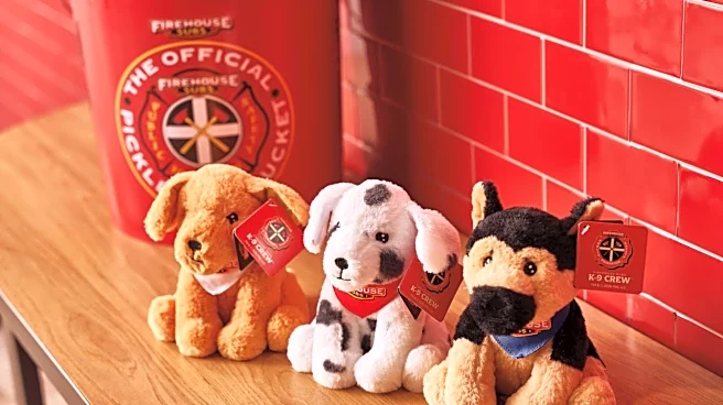 Firehouse Subs celebrates National First Responders Day with plushies