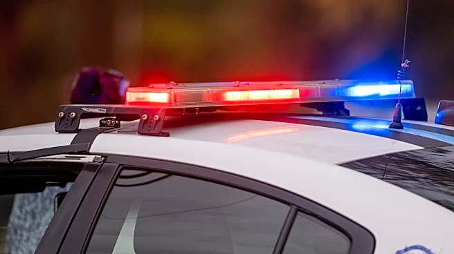 3 arrested, including minors, for school shooting plot, police say