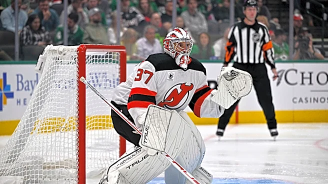 The NHL season is one month old. Here are strong starts we believe.