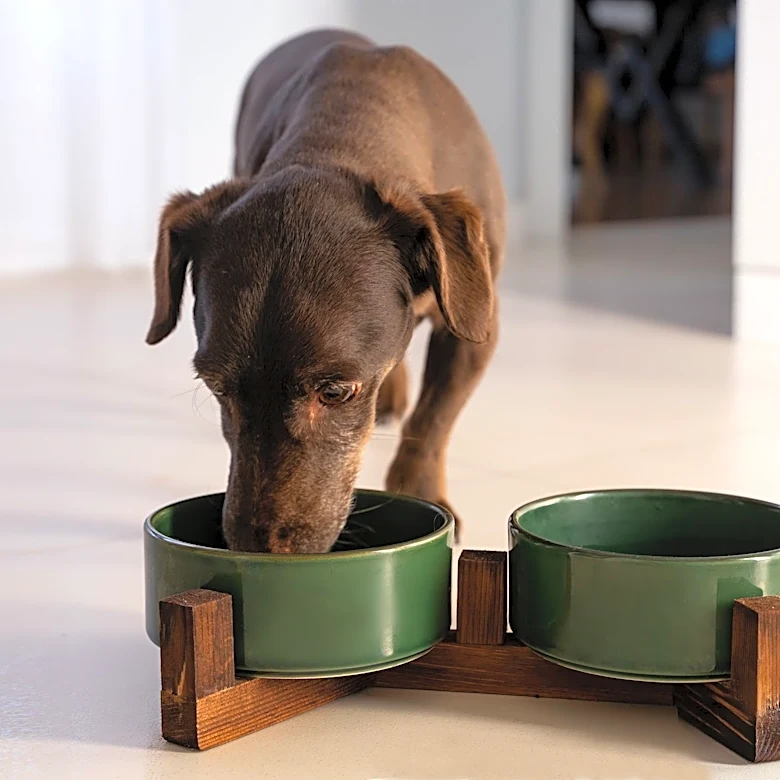 Is The Farmer’s Dog worth it? Here’s what it costs for small, medium and large dogs