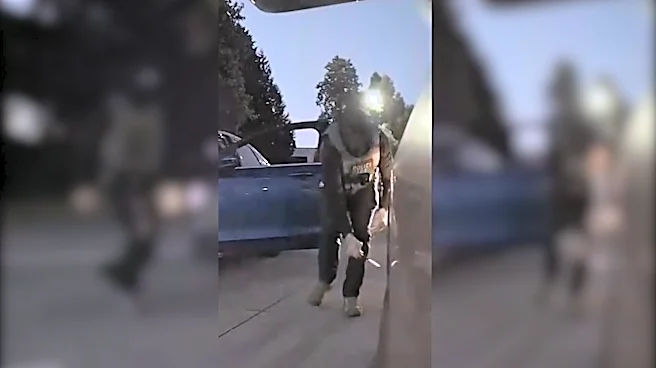 ACLU requests investigation into claim that ICE officer slashed tire
