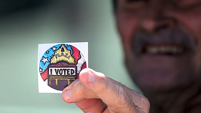 Voter ID, guns and culture: These issues are on the ballot Nov. 3