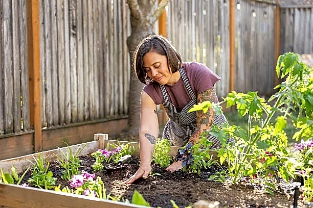 The 11 best gifts for gardeners in 2026, according to gardening experts