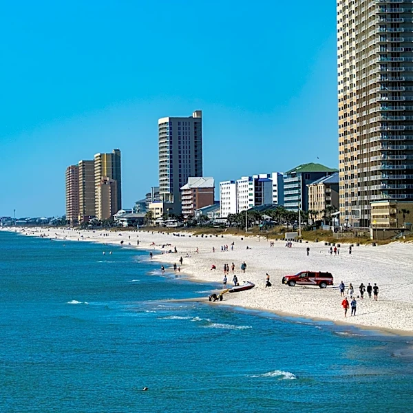 Florida dad drowns trying to save tangled seagull
