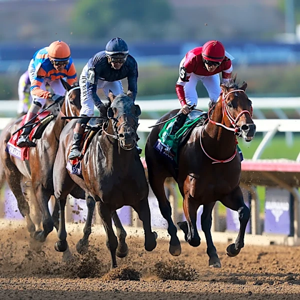 Breeders' Cup 2026 odds, field, post positions, schedule and how to watch