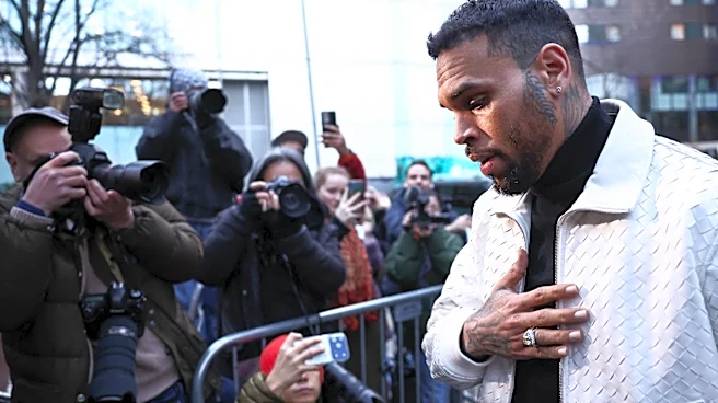 Jury Says Chris Brown Owes Housekeeper $13 Million for Disfigurement in Dog Mauling Attack