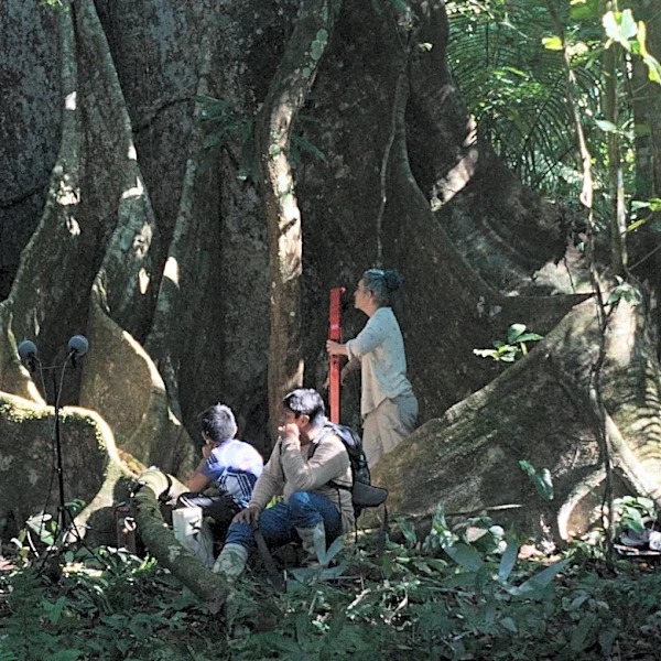 ‘Far From the Trees’ Review: A Richly Contemplative Journey of Physical and Mental Meanderings, Beautifully Combining 4K Digital with Super 16