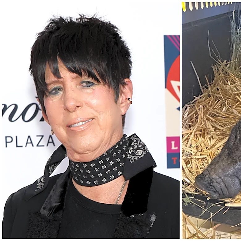 Diane Warren Adopts West Hollywood’s Runaway Pig: ‘Welcome Wilbur!’