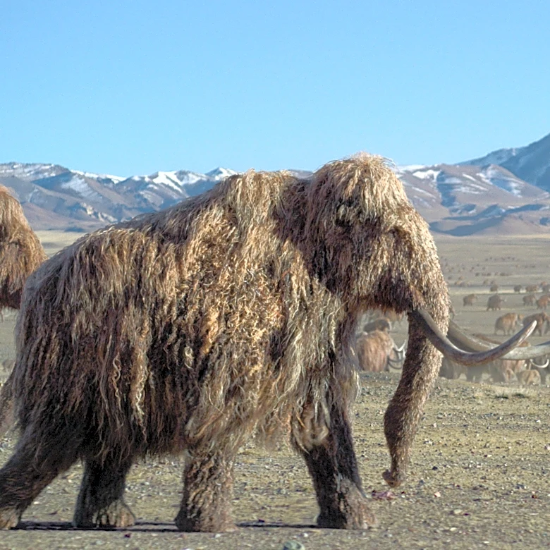‘Prehistoric Planet: Ice Age’ Soundtrack Features New Music by Composers Hans Zimmer, Kara Talve and Anže Rozman