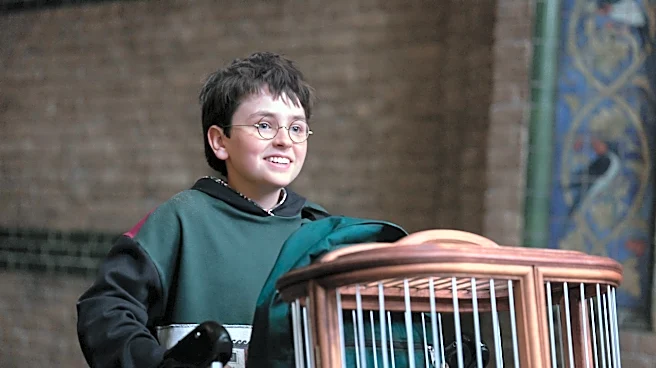 HBO Max to Revamp Harry Potter Film Rewatch Podcast Into Companion Series for New TV Show (EXCLUSIVE)