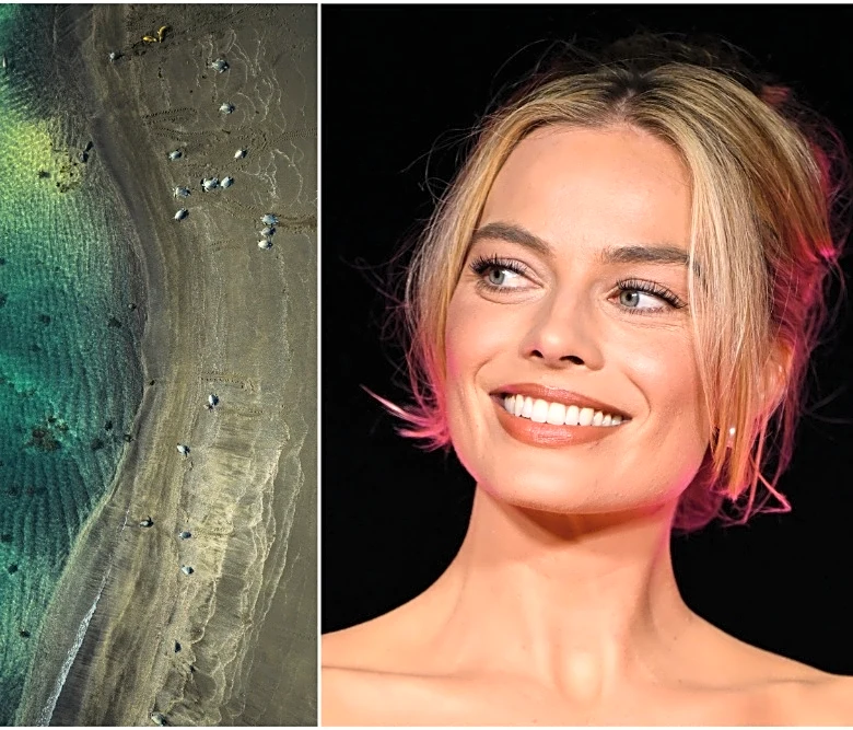 Margot Robbie-Narrated ‘Galapagos: The Last Eden’ Trailer Unveiled Ahead of Venice Immersive Bow (EXCLUSIVE)